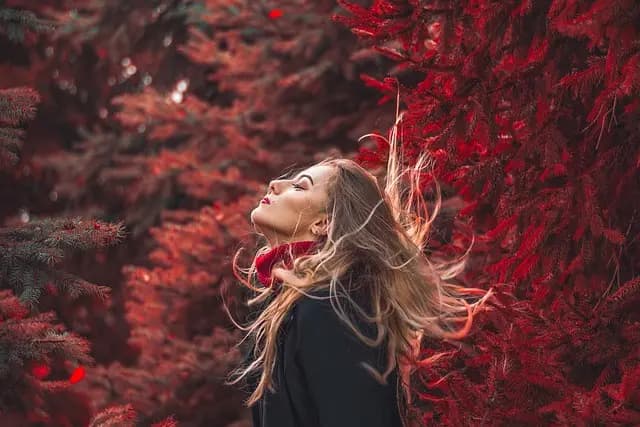 Comment Créer un Look Inclusif Pour Élargir Votre Garde-Robe
